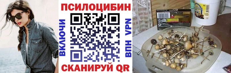 Псилоцибиновые грибы Psilocybine cubensis  Купить закладки  Топки 